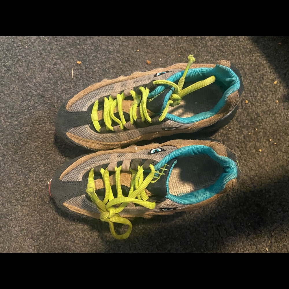 95 AirMax dinosaur